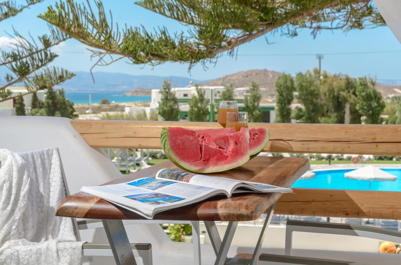 Birikos Studios & Apartments Агиос-Прокопиос Экстерьер фото