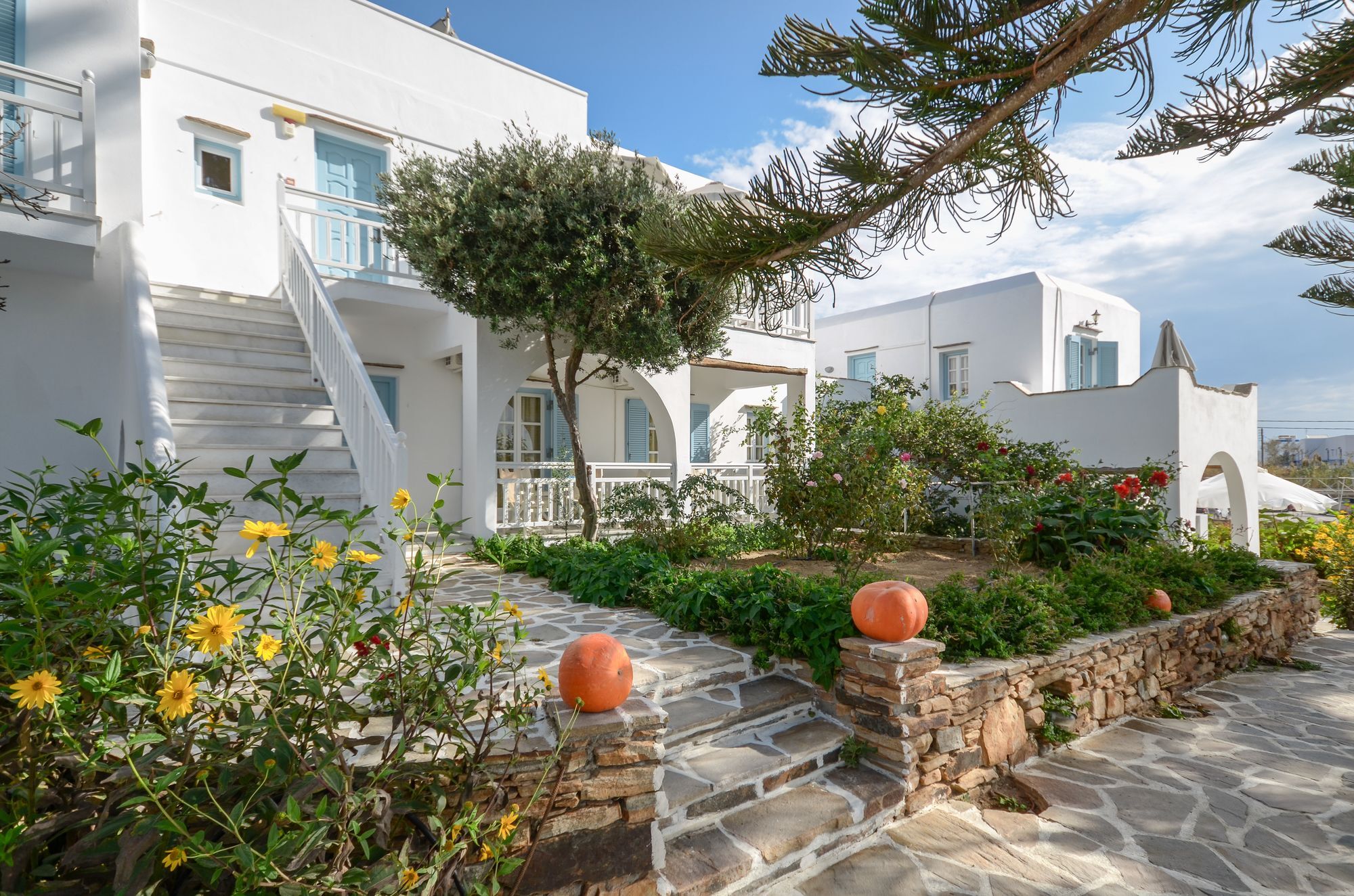 Birikos Studios & Apartments Агиос-Прокопиос Экстерьер фото