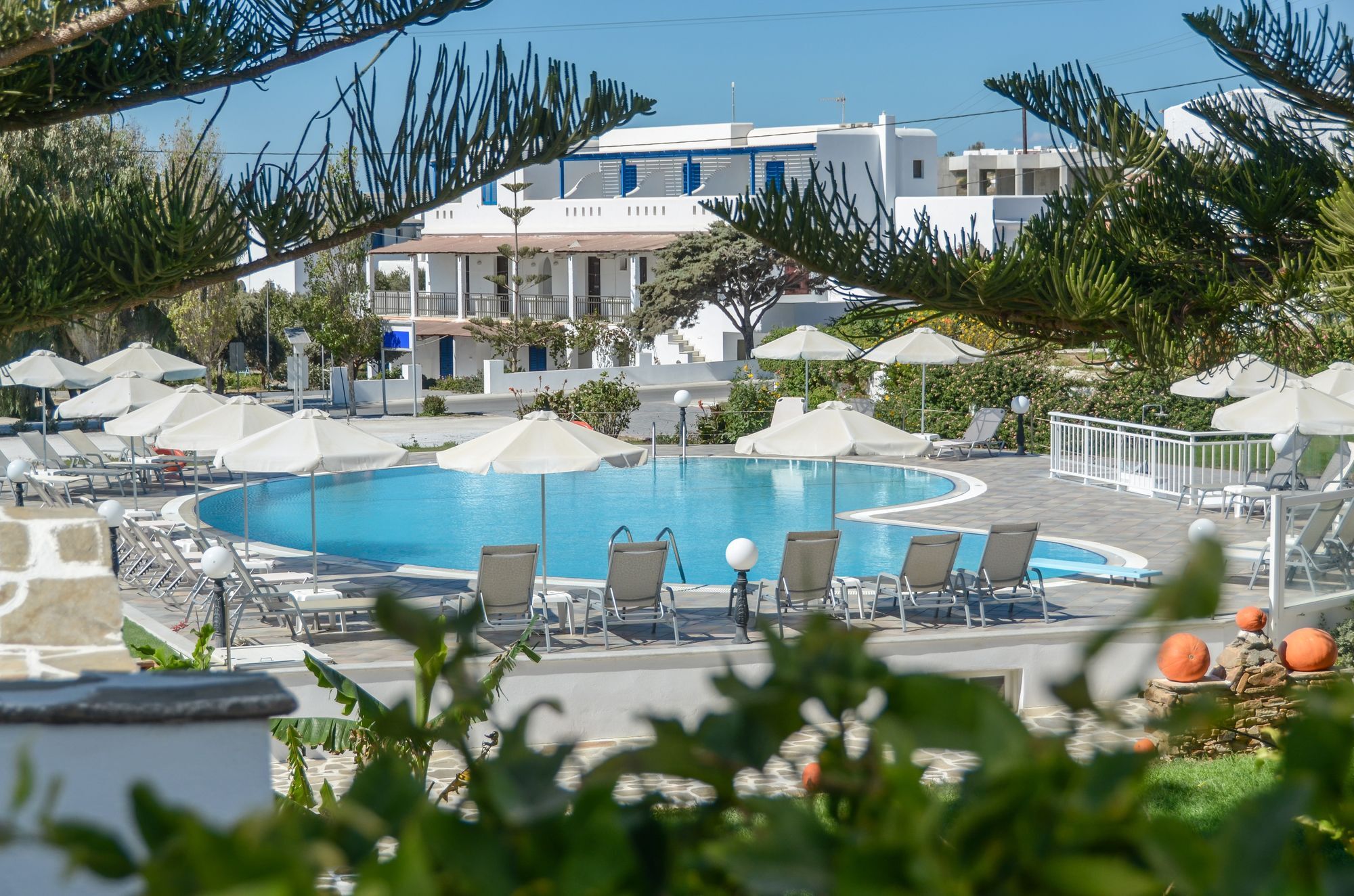 Birikos Studios & Apartments Агиос-Прокопиос Экстерьер фото
